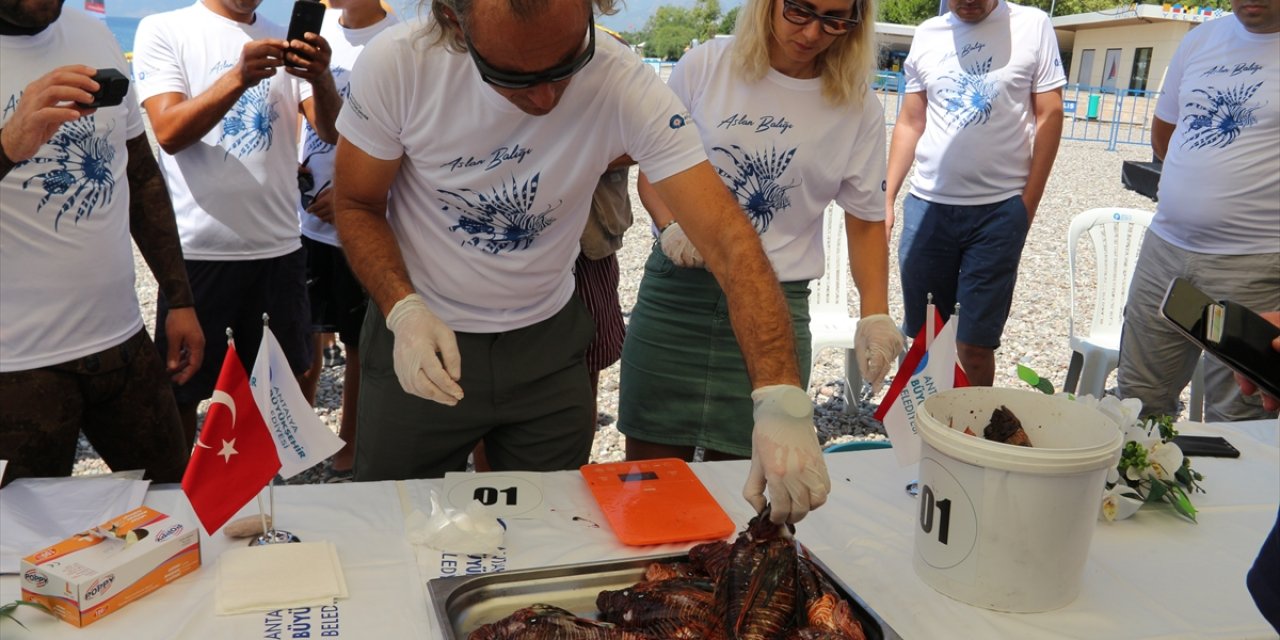 Antalya'da Zıpkınla Aslan Balığı Avlama Yarışması Düzenlendi