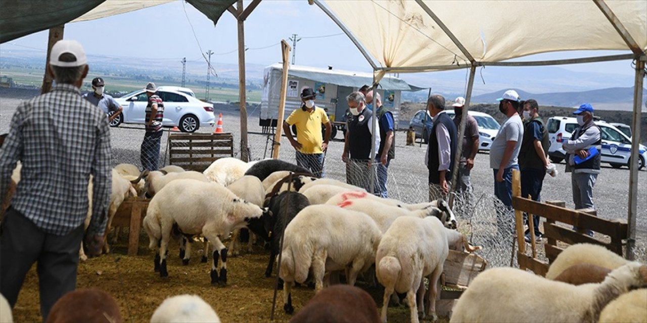 Kayseri'de Kurban Pazarları Denetlendi