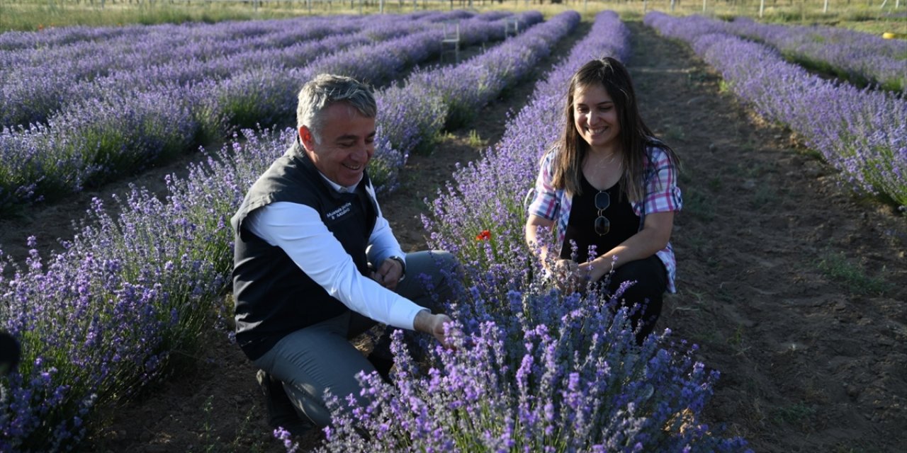 İl Tarım Ve Orman Müdürü Şahin'den Lavanta Üreticisi Kadın Çiftçiye Ziyaret