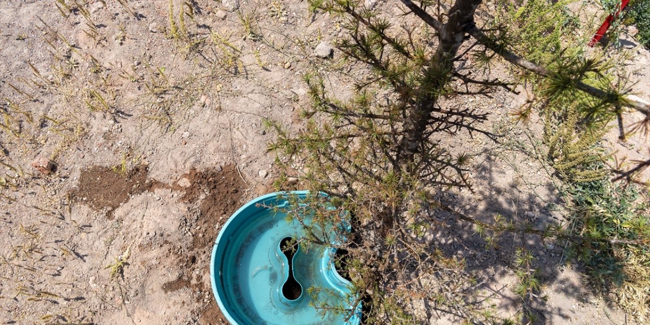 Büyükşehir Belediyesinin Fidan Dikiminde Kullandığı Susuz Bitki Yetiştirme Aparatı Başarı Sağlandı