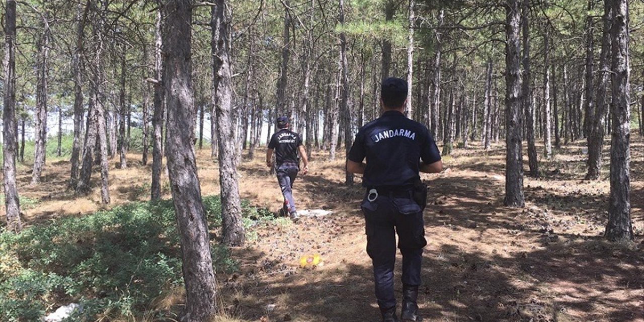 Eskişehir'de Ormanlık Alanlarda Denetim Gerçekleştirildi