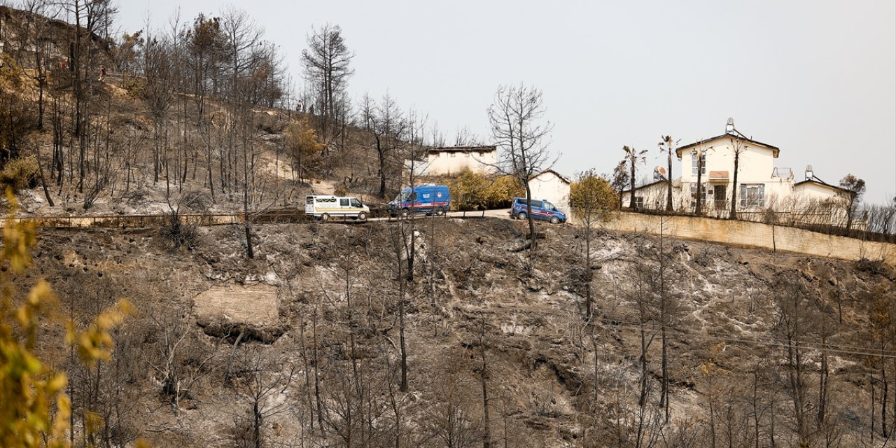 Vefalı Köpek Ölen Sahiplerinin Başından Ayrılmamış