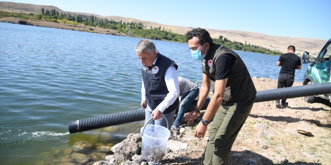 Kayseri'de 13 Göl Ve Gölete 678 Bin Yavru Balık Salındı