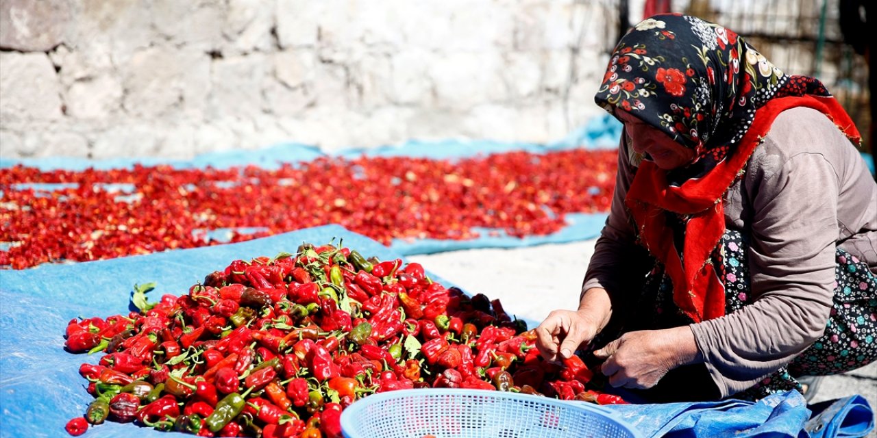 Kayseri'de Kadınların Cırgalan Biberi Kurutma Telaşı