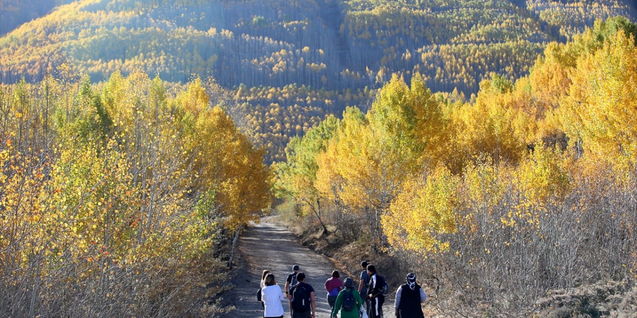 Erciyes'in "Titrek Kavakları" Sonbahar Renkleriyle Bezendi