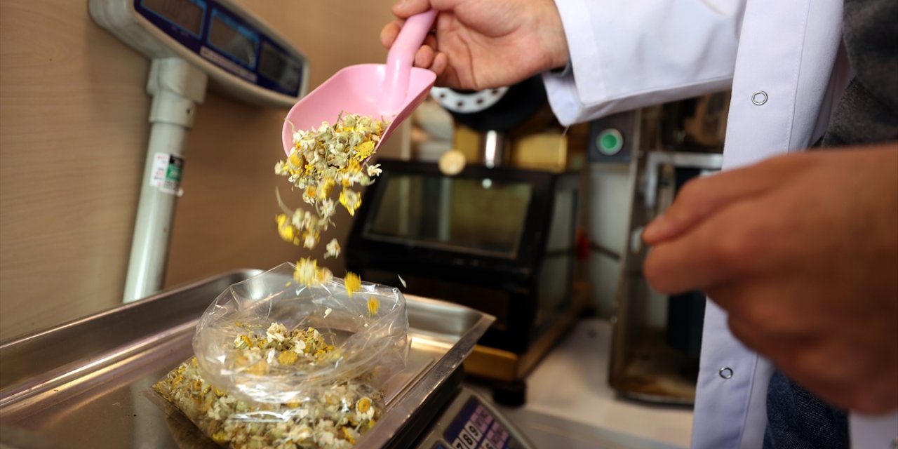 Yanlış Tüketilen Bitki Çayları Şifadan Çok Zarar Veriyor