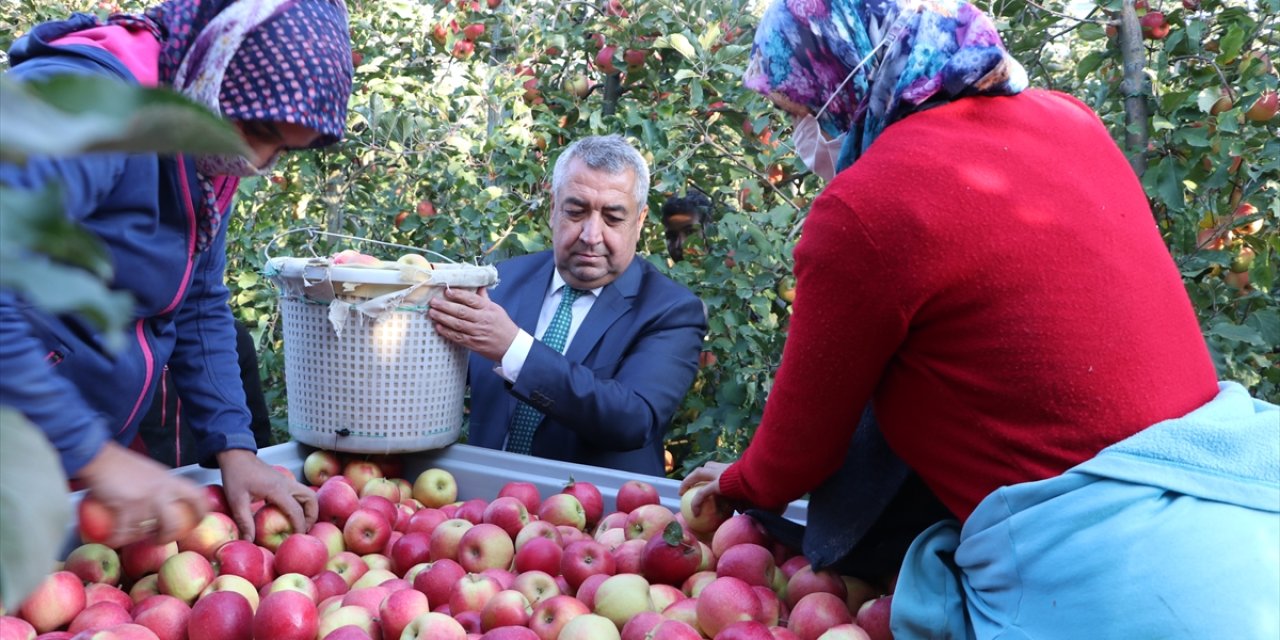 Karaman'dan 20 Ülkeye 100 Bin Tonun Üzerinde Elma İhracatı