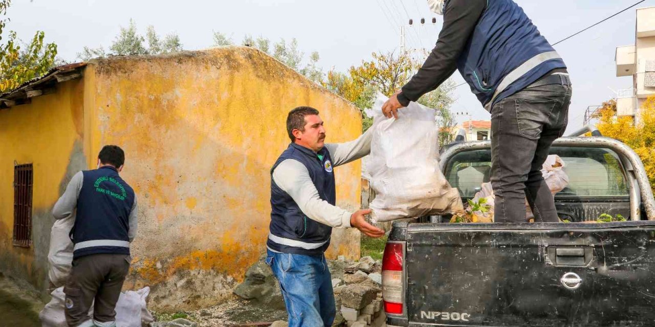 Budanan Dallar Yuvaları Isıtıyor