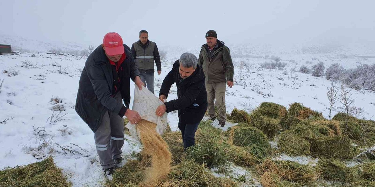 Karaman’da Yaban Hayatı Unutulmadı