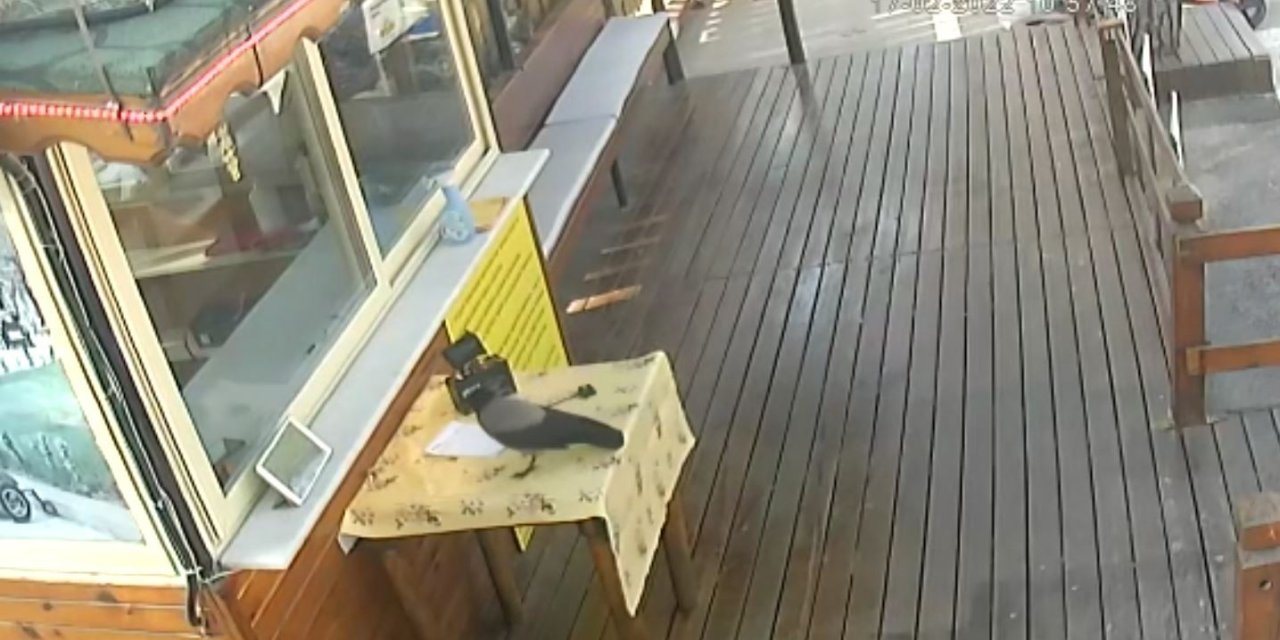 Besle Kargayı Çalsın Anahtarı