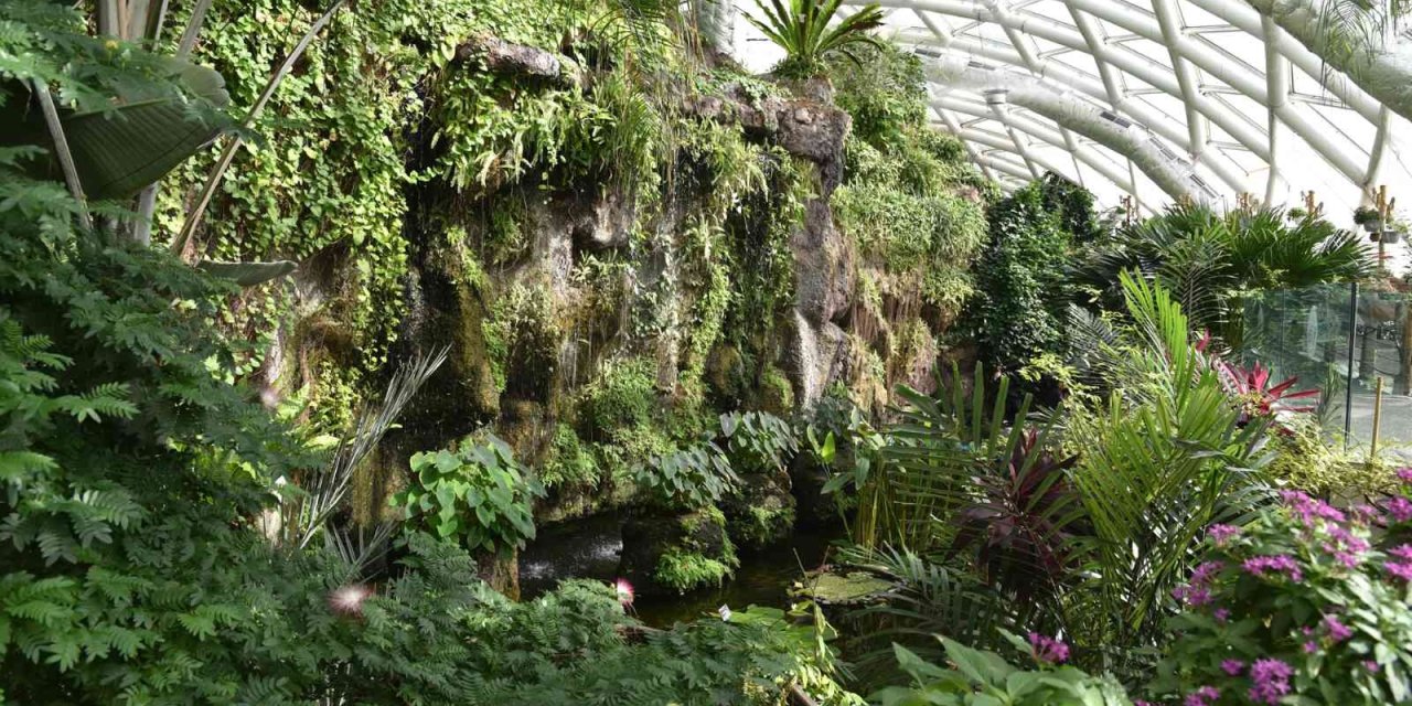 Tropikal Kelebek Bahçesi Ziyaretçilerini Bekliyor