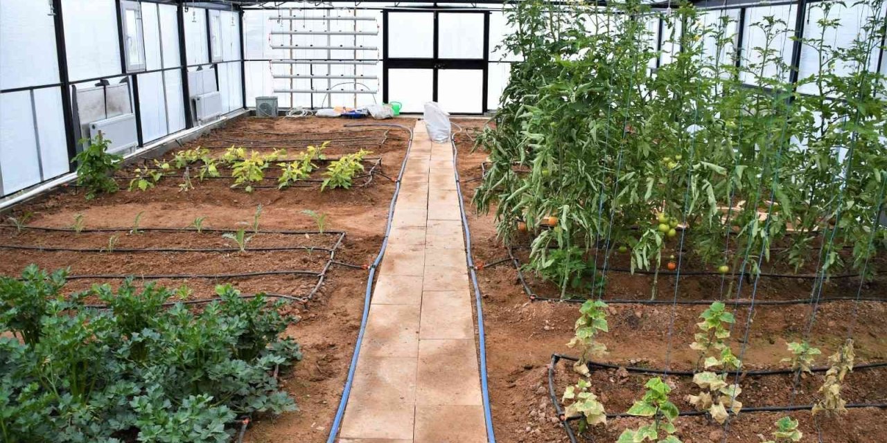 Aksaray’da Tarım Ve Doğa Atölyesi, İlgi Çekiyor