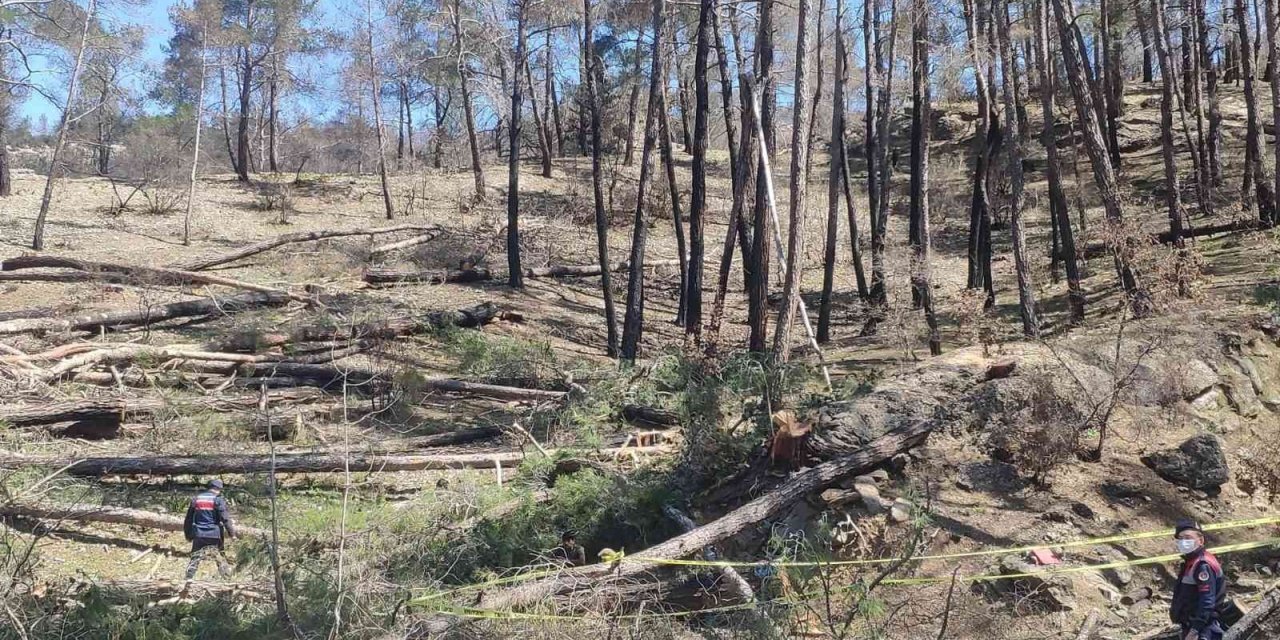 Arkadaşının Kestiği Ağaç Üzerine Düşen İşçi Hayatını Kaybetti
