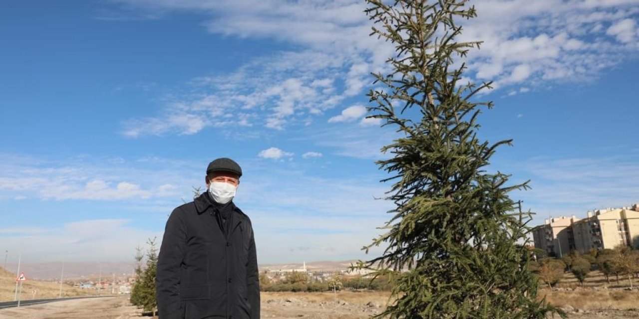 Kocasinan’da Hedef Yine 100 Bin Ağaç Dikmek