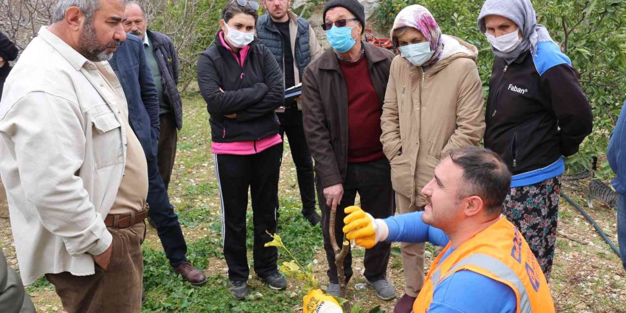 Büyükşehir’den İlçelerde Budama Ve Aşı Eğitimi