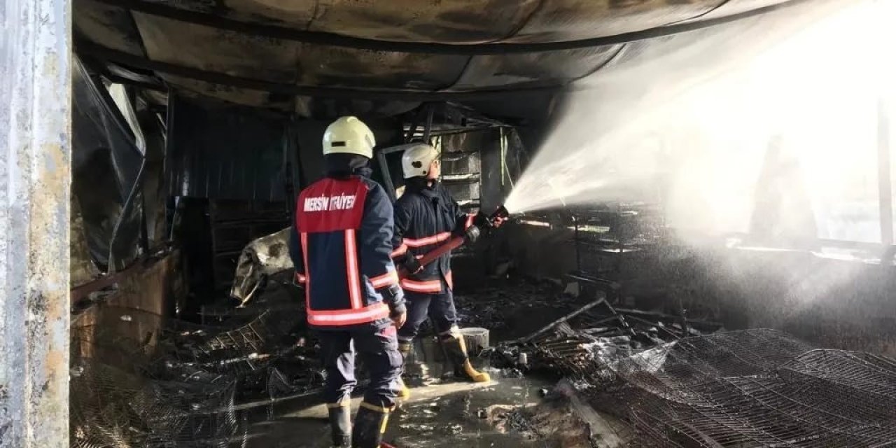 Çiftlikte Çıkan Yangında Yüzlerce Hayvan Telef Oldu