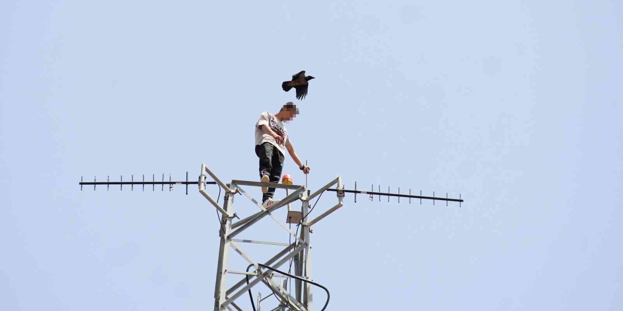 50 Metre Yüksekteki İntihar Teşebbüsü Yavalarını Korumak İsteyen Kargaları Da Harekete Geçirdi