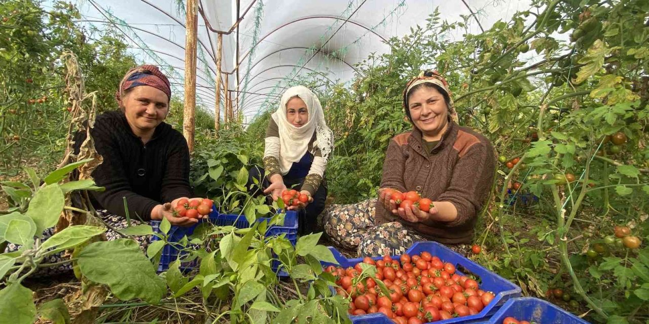 Atb Nisan Ayı Hal Endeksini Açıkladı