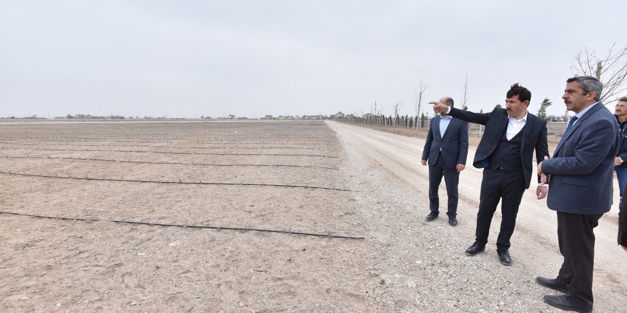 Karatay’daki Lavanta Bahçeleri 400 Bin Metrekare Büyüklüğe Ulaştı