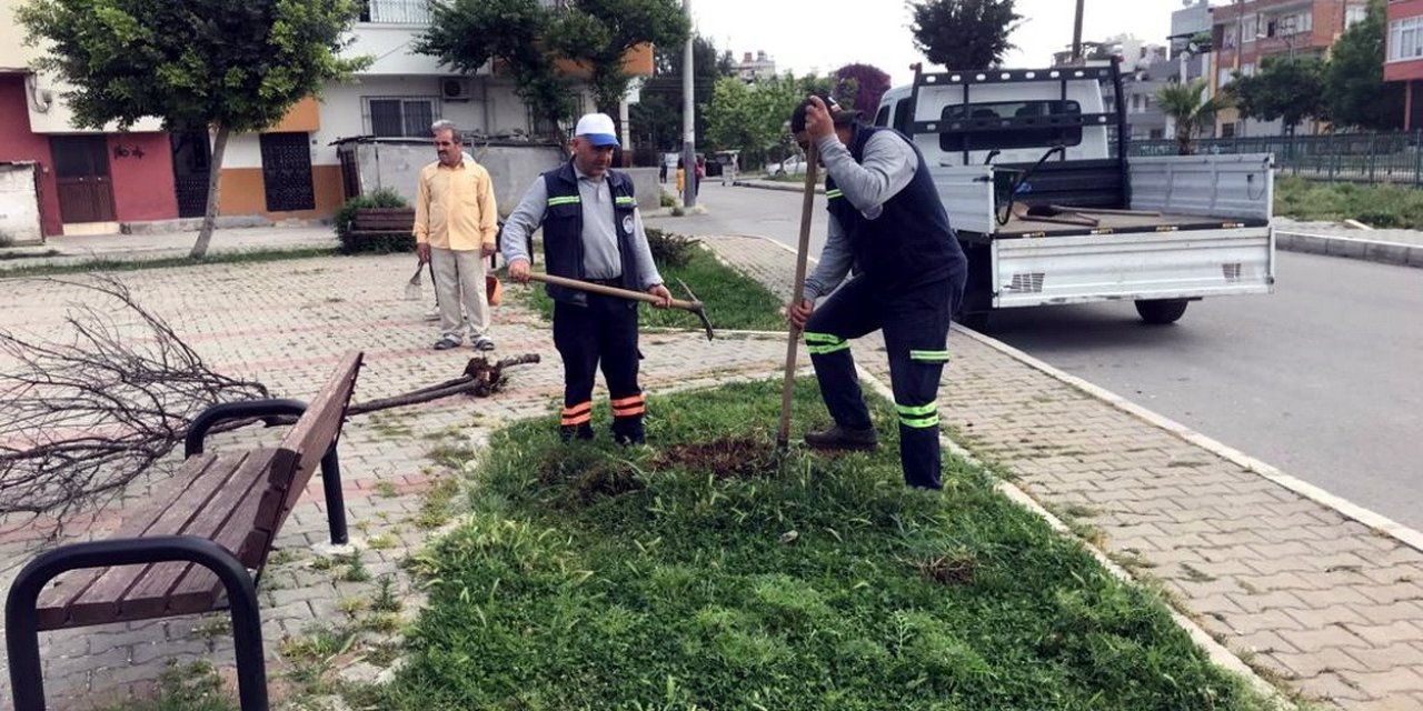 Akdeniz’de Yenileme Çalışmaları Aralıksız Sürüyor