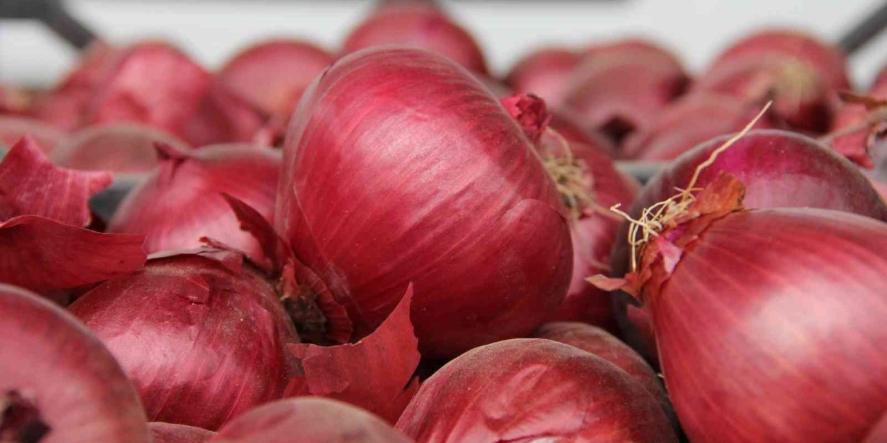 Mersin Ve Adana’nın Enflasyonu Türkiye Enflasyonunu Geçti: Yüzde 72,36