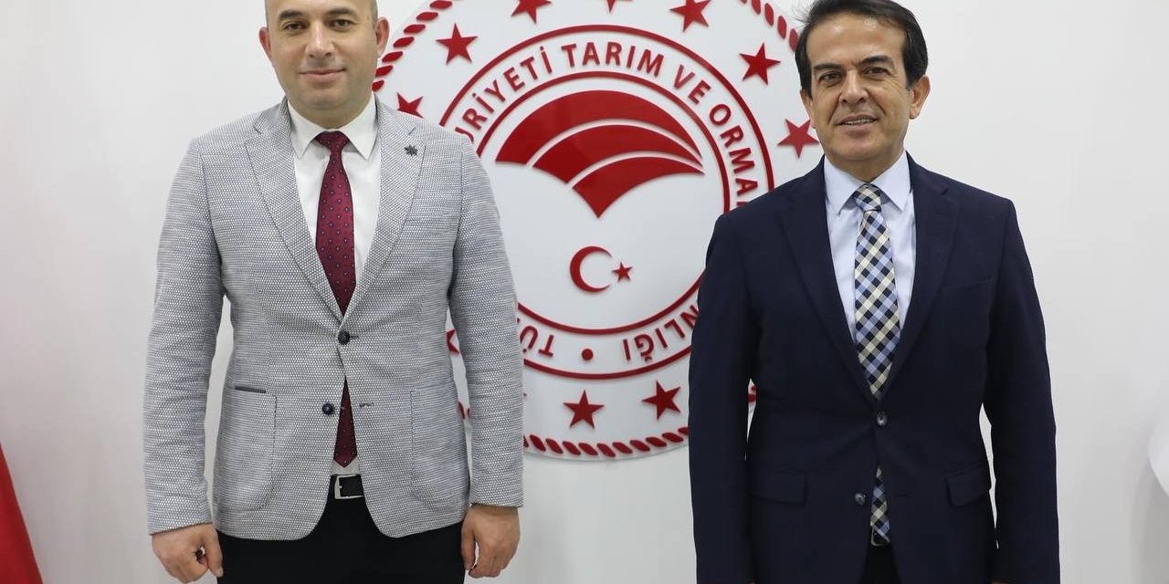 İnteraktif Çilek E- Çalıştayı Kitap Oldu