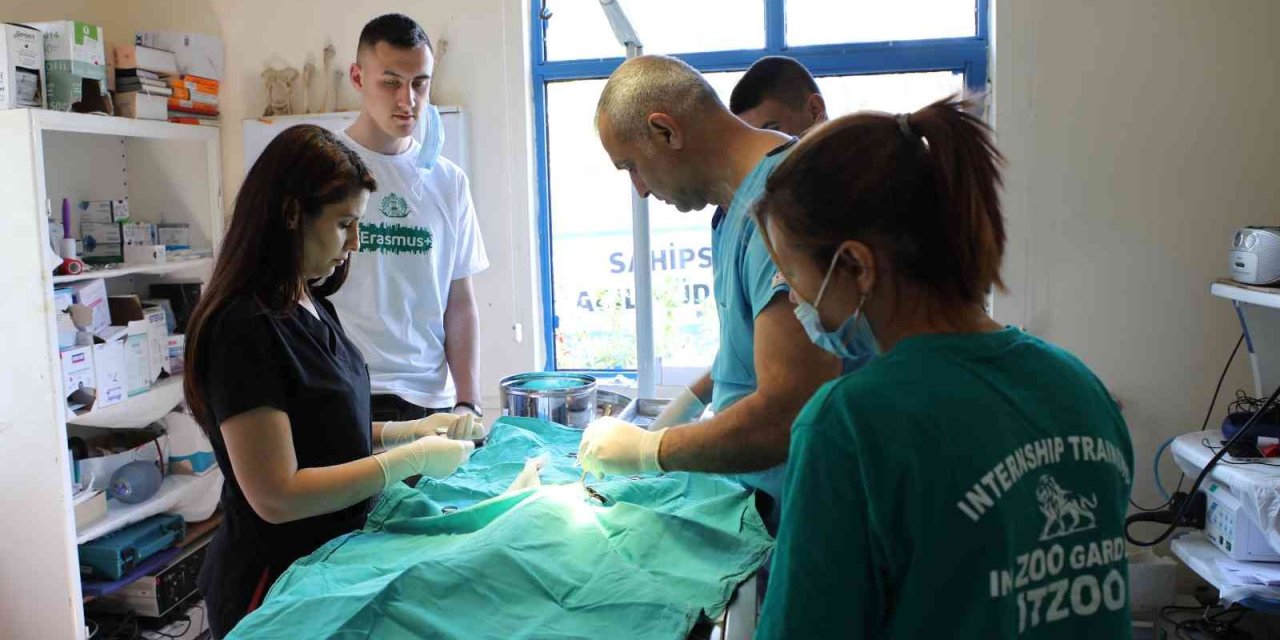 Makedon Öğrenciler Antalya Hayvanat Bahçesi’nde Eğitim Alıyor