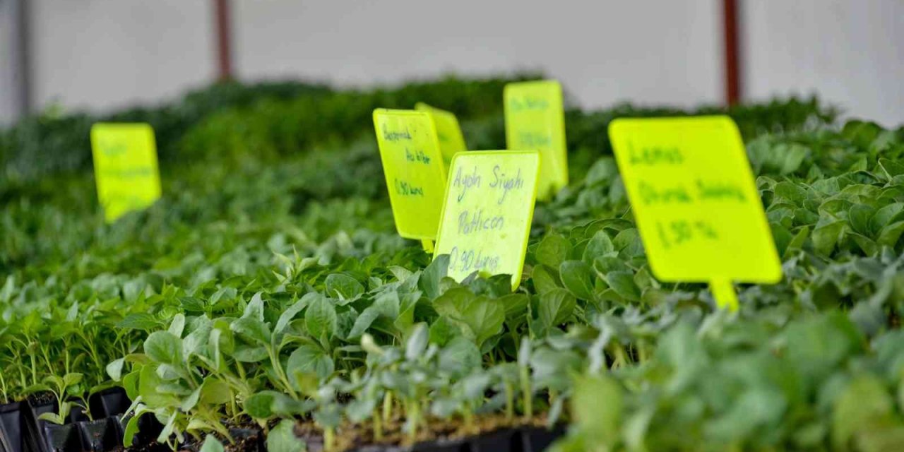 Başkan Kavuş: "konya Fide Meram Çiftçisinin Rekabet Gücünü Arttırıyor"