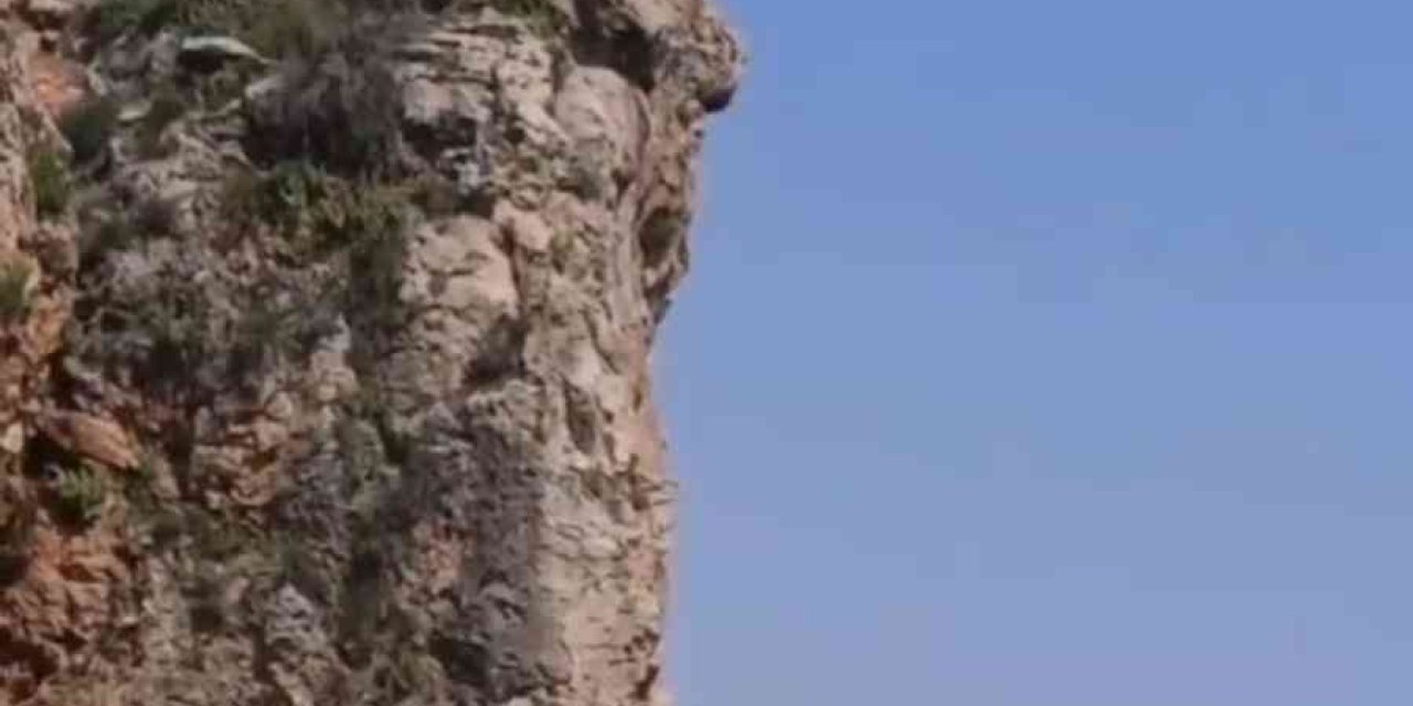 30 Metrelik Falezlerden Canını Hiçe Sayarak Denize Atladı