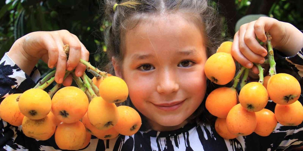 Mersin’in Sarı Altını Yenidünya Üreticisini Fiyatıyla Sevindirdi