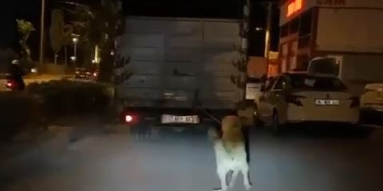 Köpeği Kamyonun Arkasına Bağlayan Vicdansız Sürücü Pes Dedirtti