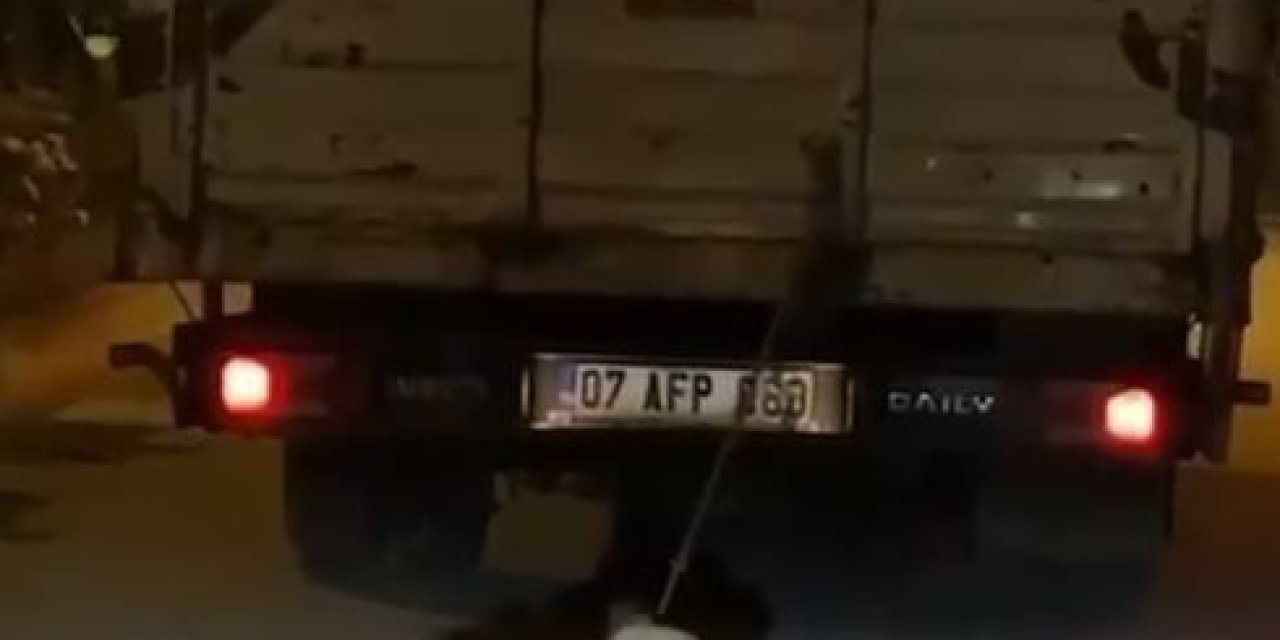 Antalya'da Köpeğe İşkence Cezasız Kalmadı