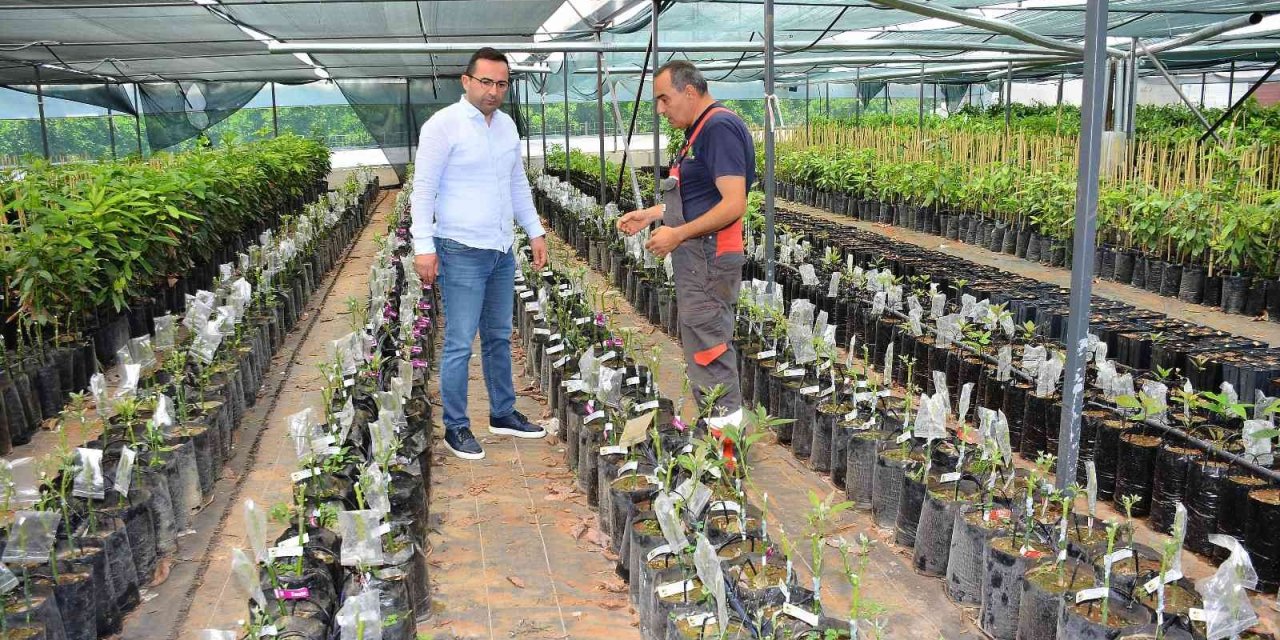 Matso Başkanı Güngör: “ihracat Yapan Firmalarımızı Destekliyoruz”