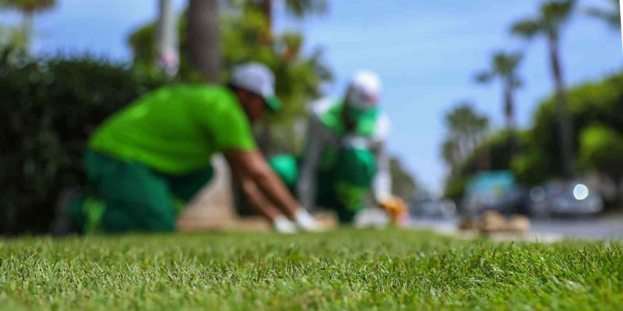 Adnan Menderes Bulvarındaki Refüje Rulo Çim Seriliyor
