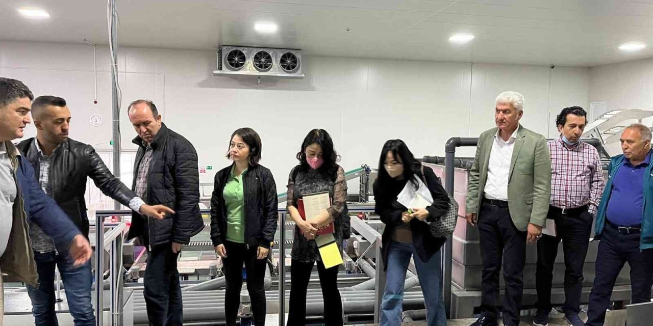 Baib’den Güney Kore’ye Kiraz İhracatı Çalışmaları