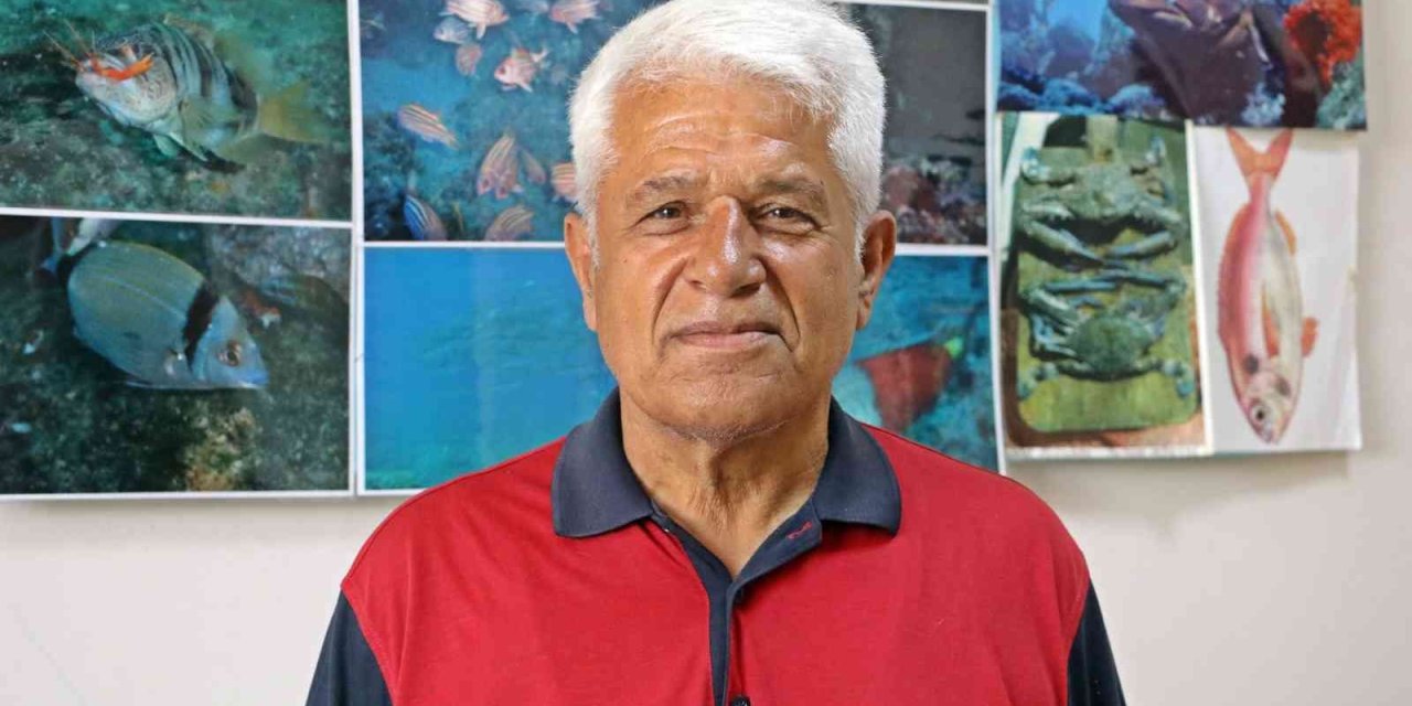 Prof. Dr. Mehmet Gökoğlu: “yunusların Teknelerle Yarışı Kaybedince İntihar Ettiği İnancı Yanlış”