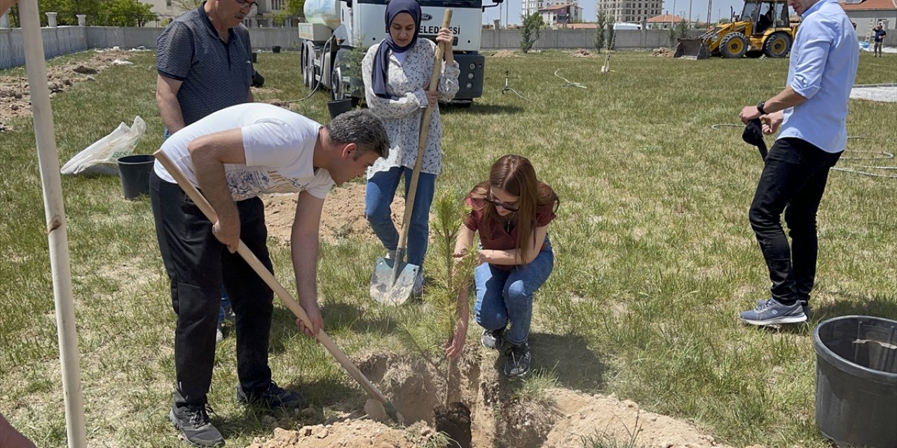 Eskil Adalet Sarayı Bahçesine Ağaç Dikildi