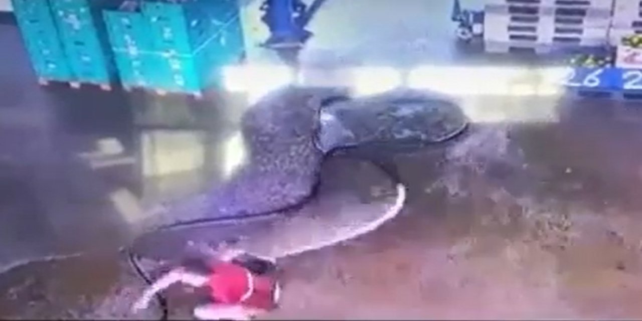 Temizlik Yapmak İsterken Hortumdan Gelen Ani Su İle Kendisini Yerde Buldu