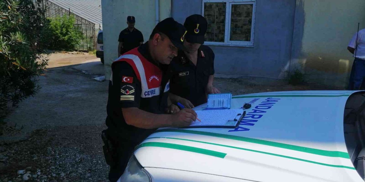 Pitbull Cinsi Köpeği Sokakta Ağızlık Ve Tasmasız Gezdiren Şahsa 14 Bin Tl Ceza