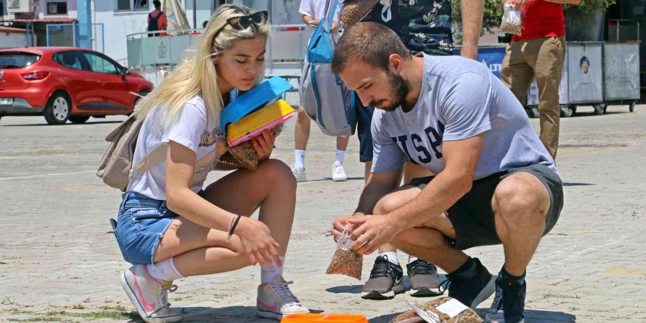 Üniversiteli Öğrenciler, Yerleşkedeki Sokak Hayvanlarını Unutmadı