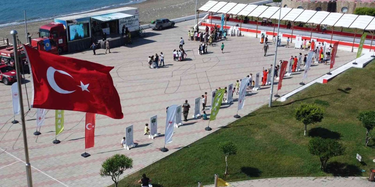 "yeşil Vatan Tırı", Ormanı Öğrencilerin Ayağına Getirdi