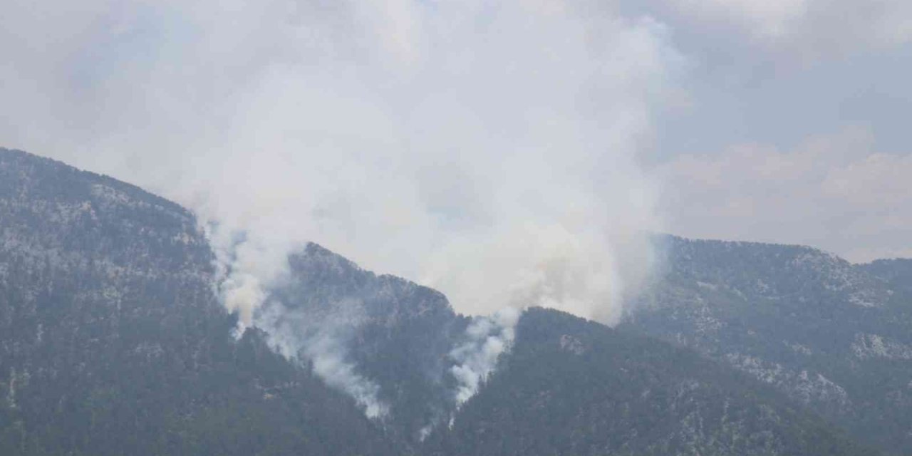 Alanya’da Orman Yangını