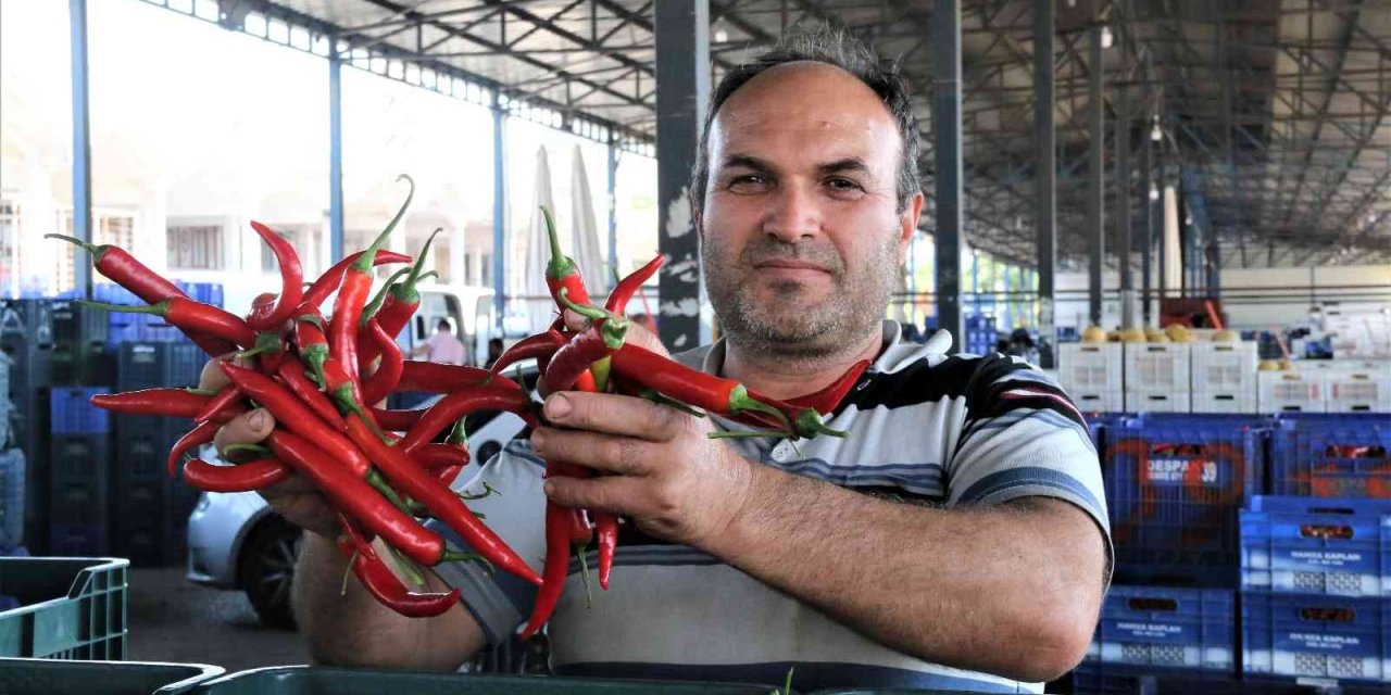 Havaların Isındığı Antalya Halinde Sebze Fiyatları Geçen Haftalara Göre Yarı Yarıya Düştü