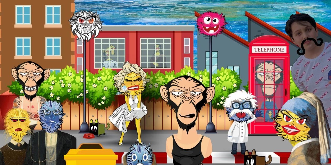 Nft Sanatçısı 11 Yaşındaki Selim Şamil: “çizdiğim Resimleri Dijital Mecralarda Tanıtmak İstiyorum”