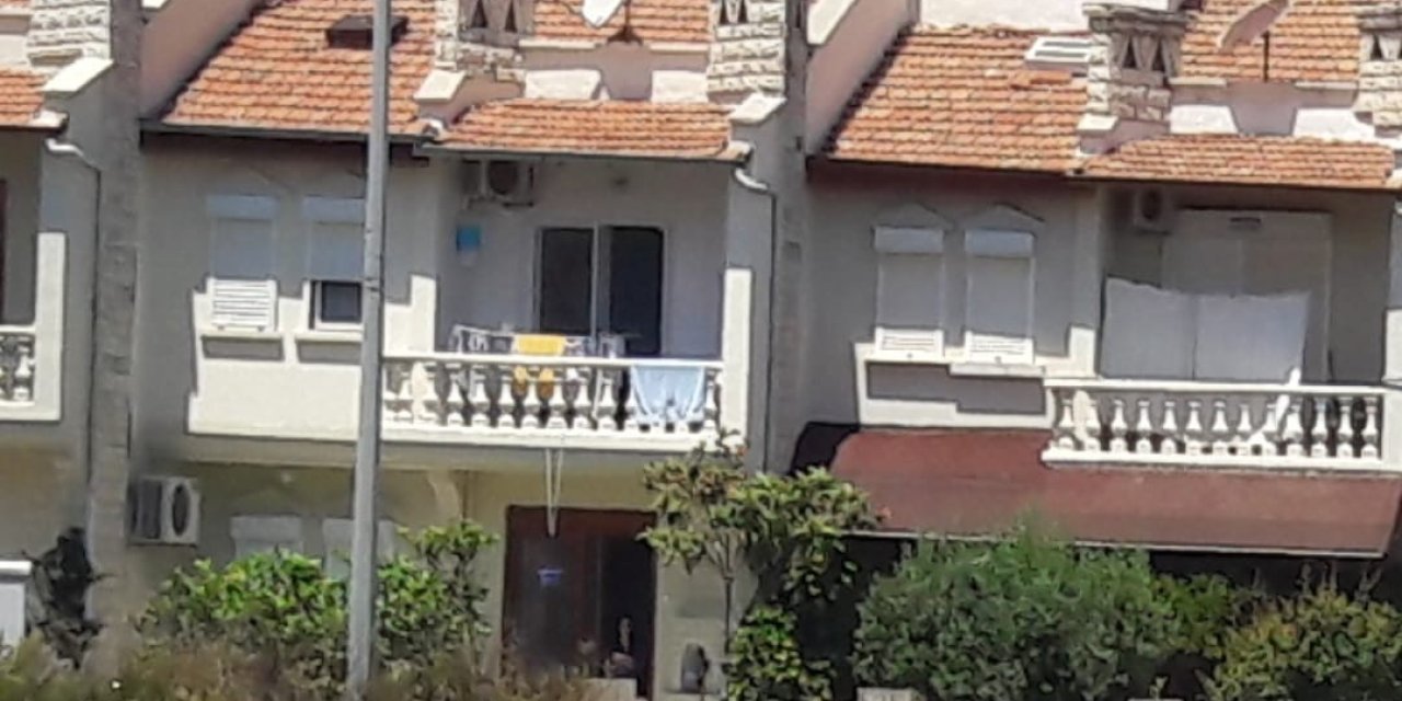 Bozyazı’da Sokak Köpekleri Tehlike Saçıyor