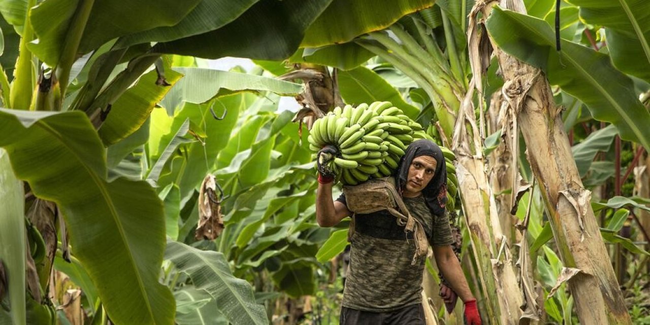 Alanya Belediyesi 16’ncı Uluslararası Fotoğraf Yarışması Sonuçlandı