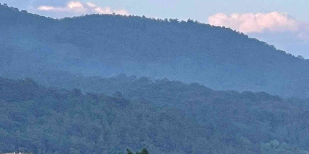Alanya’da Orman Yangınında 5 Dönüm Alan Zarar Gördü