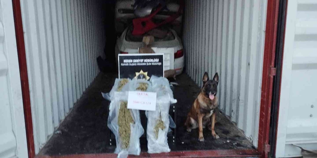 Mersin Limanı’nda 5 Kilo 800 Gram Skunk Ele Geçirildi