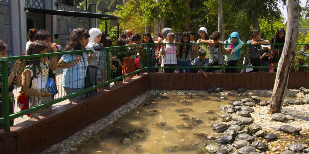 Kent Turu Projesinin Sınırları Genişliyor