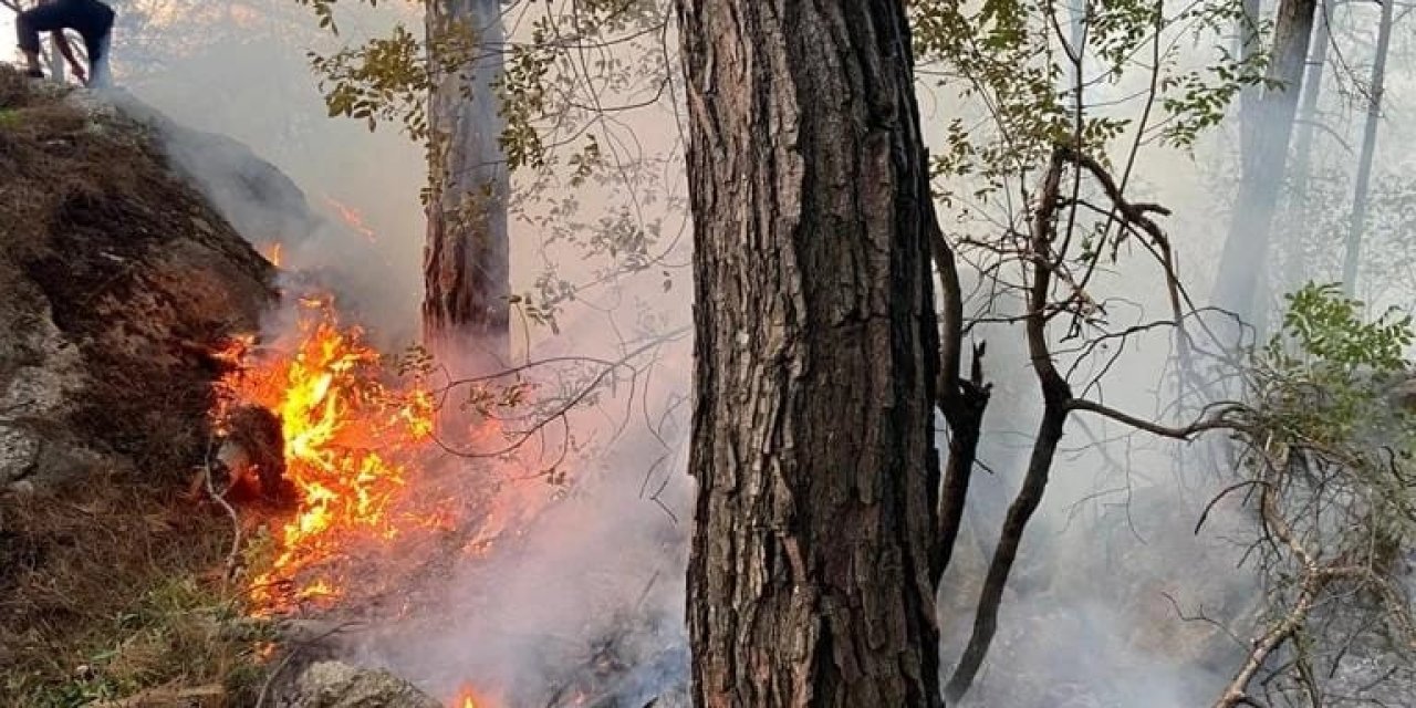 Antalya’da Orman Yangını